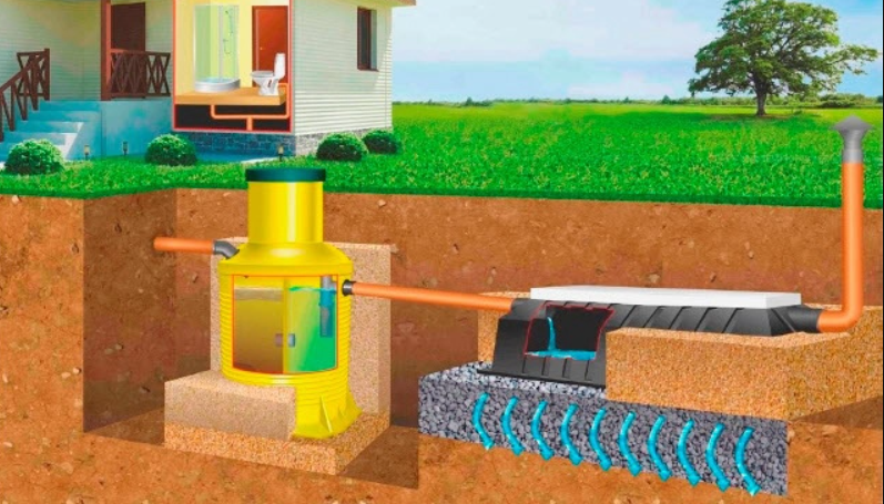 Біосептик та здоров’я: як стічні води впливають на навколишнє середовище